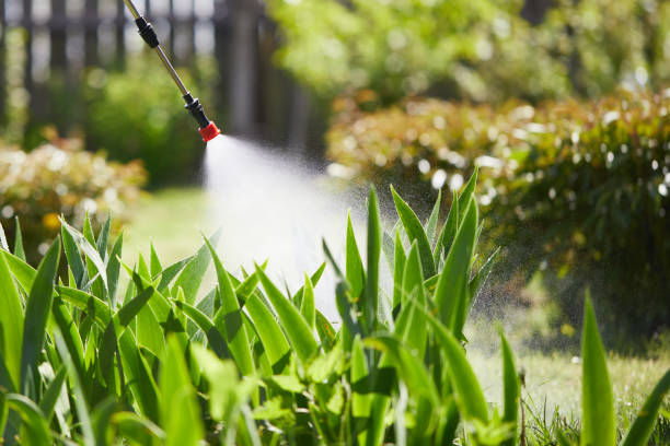 Tamper-Resistant Bait Stations for Rodents in Thornville
