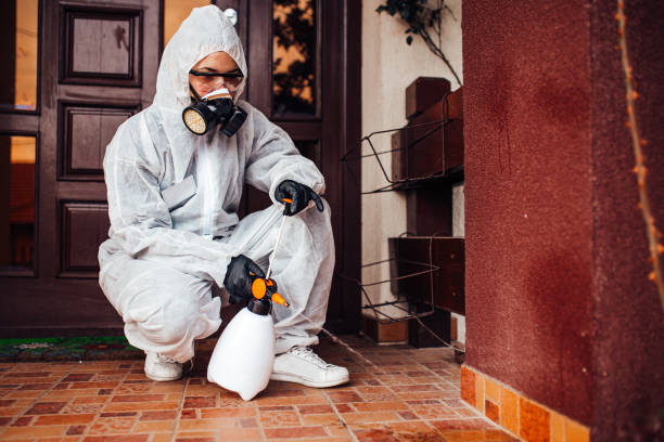 Attic and Crawl Space Rodent Treatment in Thornville