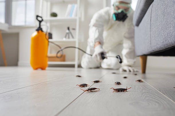 Commercial Rodent Management in Thornville